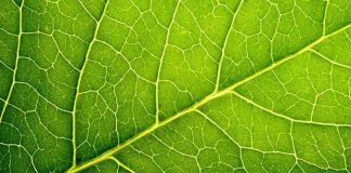 The Climate ‘is’ Changing