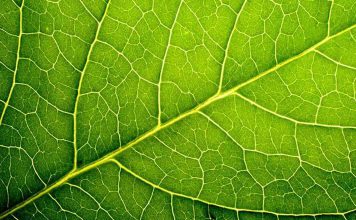 The Climate ‘is’ Changing