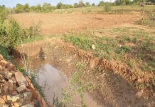 Agroecology a tool for enhanced food security Masvingo District