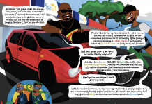 Zimbabwe’s Import Ban on Private Vehicles