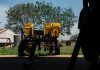 Partnerships for the success of the Juncao Technology in Zimbabwe