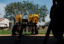 Partnerships for the success of the Juncao Technology in Zimbabwe
