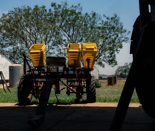 Partnerships for the success of the Juncao Technology in Zimbabwe